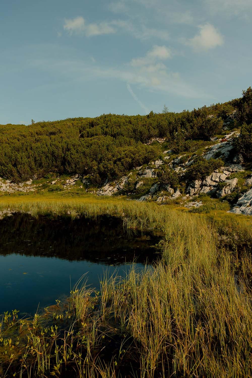 Sommer Idylle auf der Gjaid Alm am Dachstein